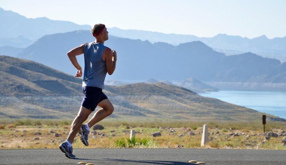 文中图片 文中图片